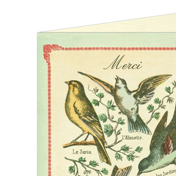 Thank You Card | Merci