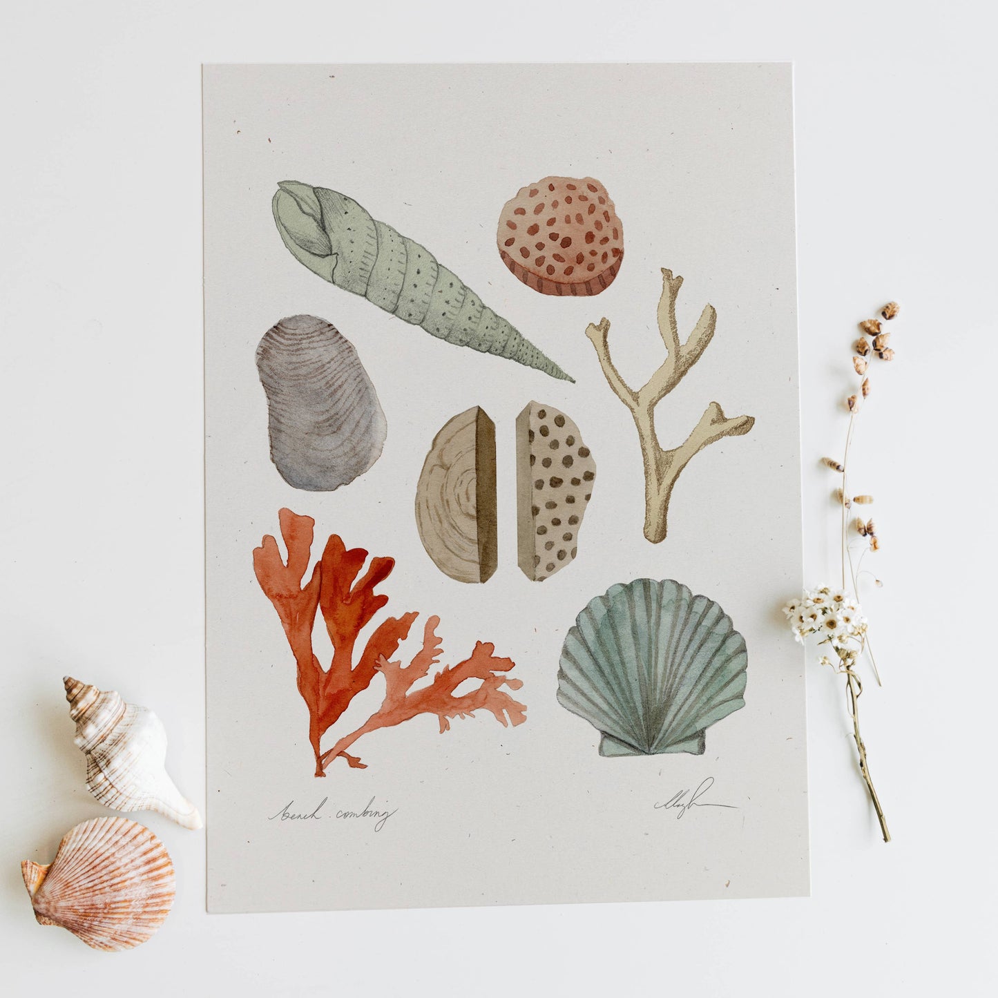 Beach Combing | 8.5 x 11" Signed Print