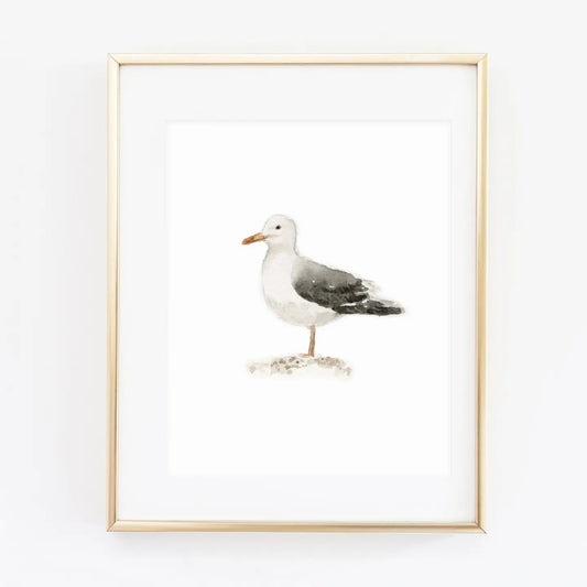 Seagull Art Print | 11x14