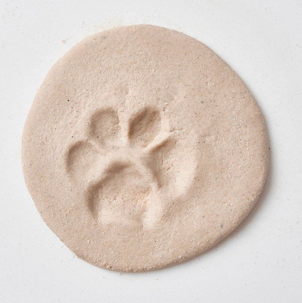 Dog at the Beach Kit | DIY Paw Print