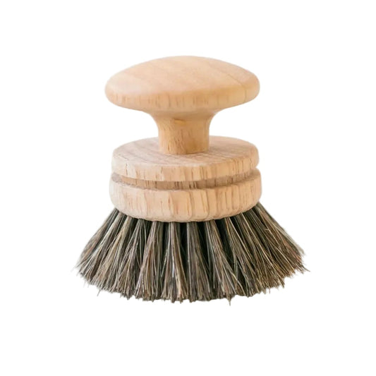 Wooden dish brush with bristle head on a light background