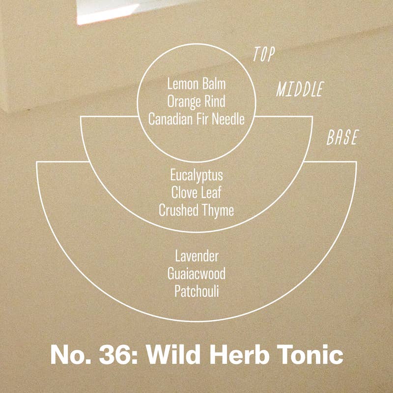 Alchemy Reed Diffuser | Wild Herb Tonic